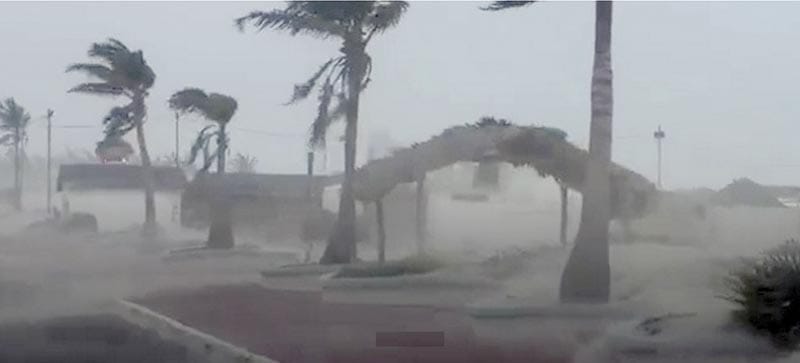 ¡CUBRE TOLVANERA A PLAYA MIRAMAR EN TAMAULIPAS!