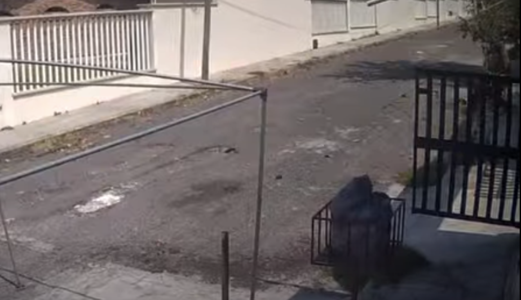 ¡LE RECETAN DOS PLANAZOS CON MACHETE A LADRÓN!