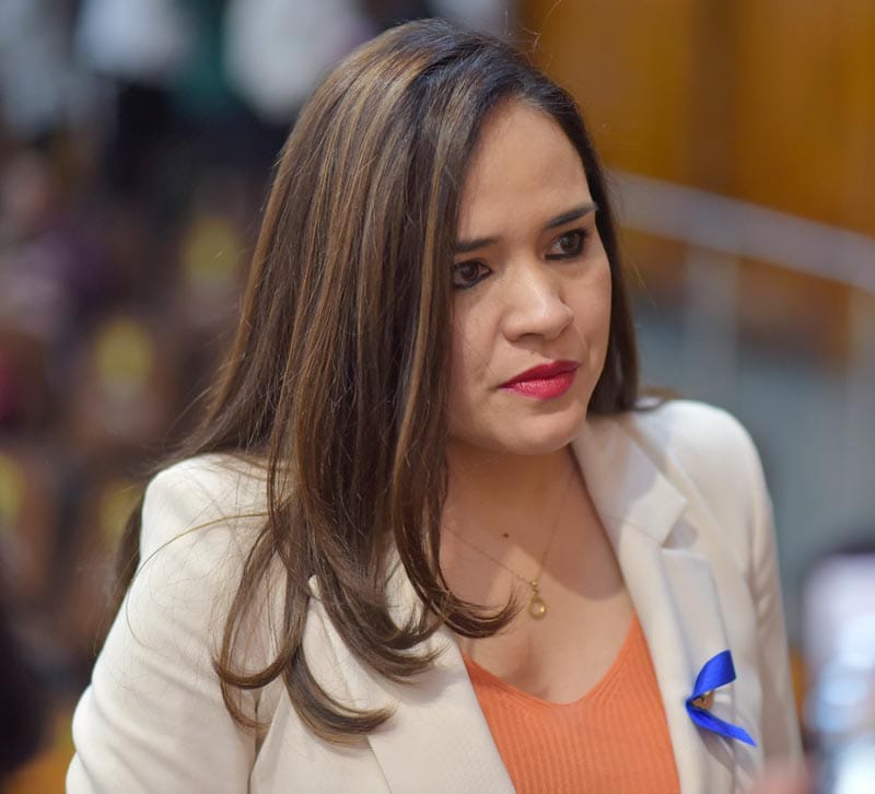 ¡Y SE FUERON LOS DIPUTADOS!