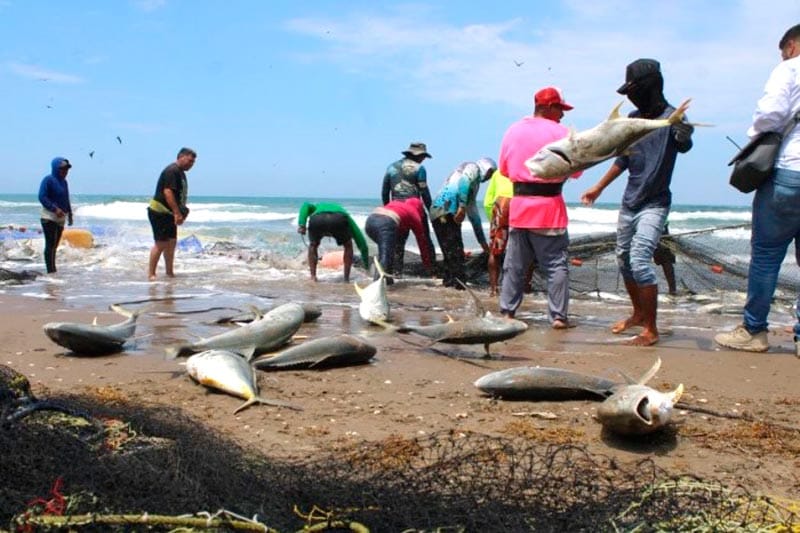 ¡PESCAN OCHO TONELADAS DE JUREL! - DE RÉCORD