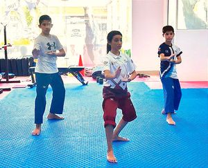 ¡ALISTAN FESTIVAL ABIERTO MEXICANO DE TAEKWONDO!