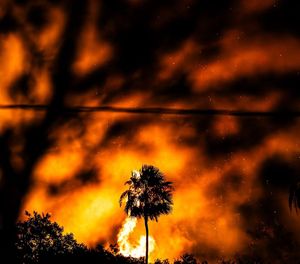 Voraz Incendio en Brasil Arrasa Todo