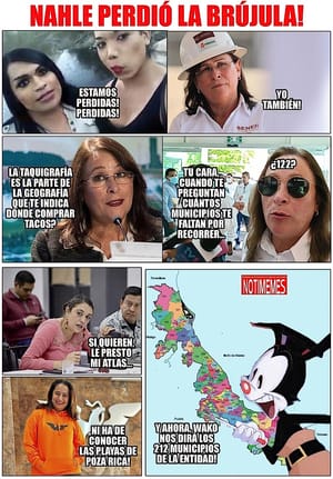 NOTI-MEME - NHALE PERDIÓ LA BRÚJULA!