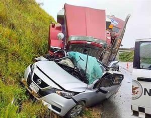 ¡LOS MATÓ A TODOS! -CUATRO JÓVENES QUE REGRESABAN A CASA... EL TRAILERO SE DA A LA FUGA...