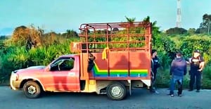 ¡UN AUTOBÚS DE PASAJEROS EMBISTIÓ A UNA ESTAQUITA, ESCUCHÓ EN ESE INSTANTE GRITOS, EL MENOR SE HABÍA DESNUCADO!