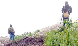 ¡ALERTA QUE CÁRTELES RECLUTAN A JÓVENES CON FALSAS OFERTAS DE EMPLEO! -Ofrecen trabajo en campos agrícolas, "dichas invitaciones son engañosas con el fin de obligarlos a participar en grupos delictivos"