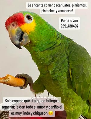 ¡SE LES ESCAPÓ “RENI”! - *“Cuidenlo, Es Muy Chiqueón”