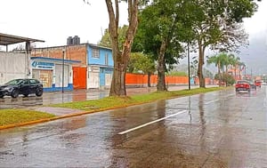 ¡Y LES LLOVIÓ! - Luego de Semanas de Sequía e Incendios Forestales que Devastaron Más de Dos Mil Hectáreas