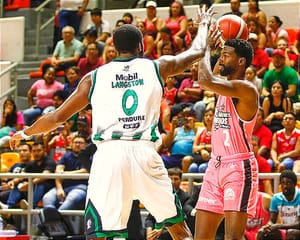 ¡ALETEAN A CIEGAS! - ESPERAN "NUEVOS DUEÑOS"