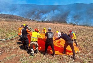 ¡VAN 600 HECTÁREAS QUEMADAS! - LO ATAJAN CON BRECHAS CORTAFUEGO, ATAQUE DIRECTO Y ENFRIAMIENTO DE LA ZONA CON PIPA