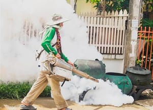 ¡CASI 500 CASOS DE DENGUE TIENE VERACRUZ!