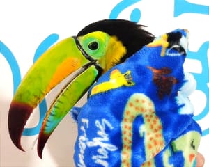 ¡SE ‘DISPARA’ TRÁFICO DE ESPECIES 1000%! - *Mono araña, Saraguato, Tucanes, Guacamaya y Tortugas...