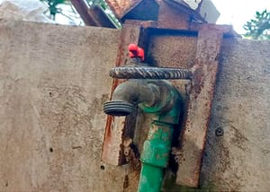 ¡SE DESCONCHIFLAN PLANTAS DE EL TEJAR!