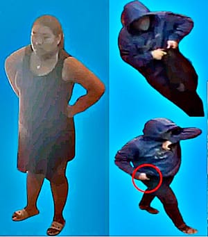 ¡UN HOMBRE Y UNA MUJER IDENTIFICADOS COMO HERMANOS ANDAN ASALTANTO! - *Les Cuentas Varios Atracos en la Zona Norte