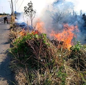 ¡SE PRENDE PASTIZAL FRENTE AL COVADONGA! - ✳️ Carretera a Paso del Toro