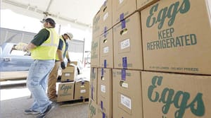 ¡PARAN LA PRODUCCIÓN DE HUEVOS POR GRIPE AVIAR! - EL MAYOR PRODUCTOR DE HUEVO DE EU