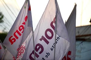 ¡REVIENTAN FEMINISTAS! - *“Violencia de Género No Se Debe Usar Como Bandera Política”