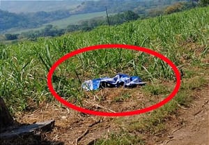 ¡LOCALIZAN UNA MUJER ENCOBIJADA! - *LLEGABAN A LA PARCELA A TRABAJAR