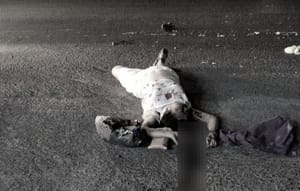 ¡DOÑA APOLONIA PIERDE LA VIDA EMBESTIDA POR MOTORIZADO!