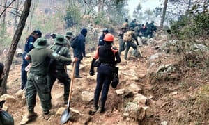 ¡BRIGADISTA DE CONAFOR LESIONADO POR QUEMADURAS DE SEGUNDO GRADO!