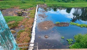 ¡SACAN DE OPERACIÓN LAS PLANTAS DE EL TEJAR I Y II!