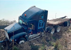 ¡UN ‘COYOTITO'! - *EL CANSANCIO EN CARRETERAS *TEMA DE SEGURIDAD