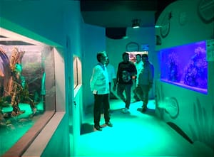 ¡BAJA DE TORTUGAS DE RÍO! - *Murió una manta y un tiburón, estaban desde el 98