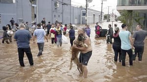 ¡TEMPORALES MORTALES: 60 MUERTOS EN BRASIL! - Y 67 DESAPARECIDOS