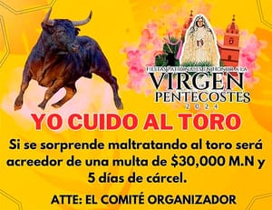 ¡MULTAS Y CÁRCEL! - *30 MIL Y CINCO DÍAS