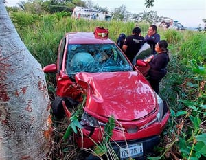 ¡PIERDE LA BRÚJULA Y SE ESTRELLA CONTRA EL ÁRBOL!
