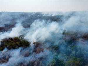 ¡SOS DE ALCALDE! - *Se Quema la Sierra  *PC no hace caso