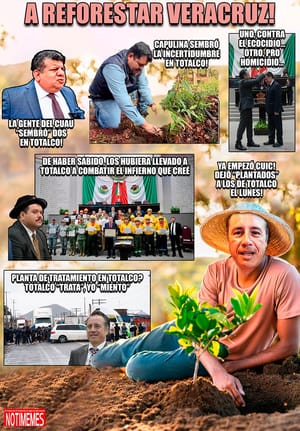 NOTI-MEME | - A REFORESTAR VERACRUZ!