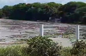 ¡ALERTA POR CRECIDA DEL JAMAPA Y COTAXTLA! - *Rozan su Nivel Máximo Ordinario