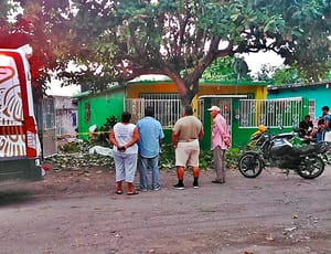 ¡CAYÓ DE CABEZA! - ANDABA PODANDO TREPADO EN EL ÁRBOL
