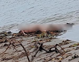¡VENDEDOR DE DULCES APARECE MUERTO A LA ORILLA DEL RÍO!