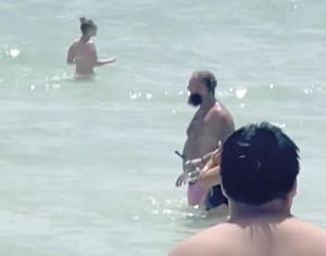 ¡ADVIERTEN SOBRE TIBURONES EN PLAYAS DE FLORIDA TRAS ATAQUES RECIENTES!