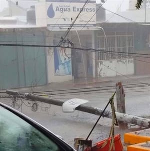 ¡PA’TORMENTÓN! - *Árboles derribados hasta  puestos afectados por los vientos