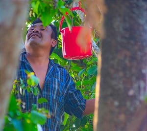 ¡LES PONEN BEBEDEROS! - *Se alerta que la muerte de los Monos Saraguato es el inicio de algo más grande