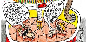 LOS CARTONES