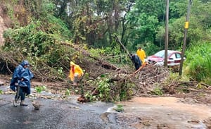 ¡TAXISTA SEPULTADO POR DESGAJAMIENTO DE UN CERRO! - CARRETERA FEDERAL A FORTÍN