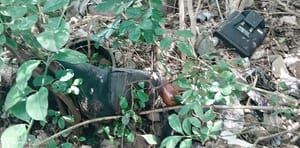 ¡LOCALIZAN CADÁVER EN LOTE BALDÍO DE COATZACOALCOS!