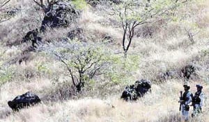 ¡VA CORTE PENAL CONTRA CALDERÓN, PEÑA Y AMLO! - AY NANITAS