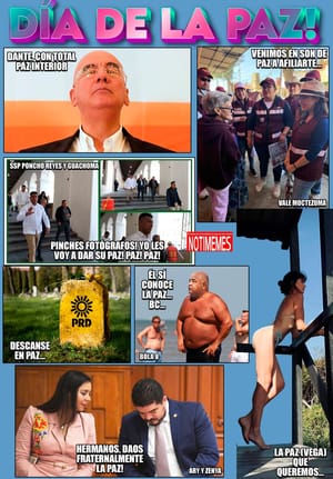 NOTI-MEME | - DÍA DE LA PAZ!