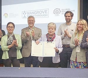 ¡FIRMA SEMARNAT INICIATIVA PARA CONSERVAR 905 MIL HECTÁREAS DE MANGLARES!