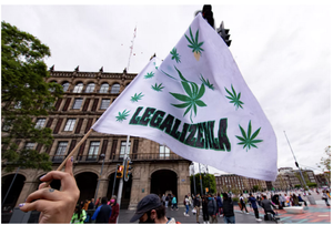 ¡CORTE NO LOGRÓ INVALIDAR PROHIBICIÓN DE MARIHUANA PARA FINES RECREATIVOS!