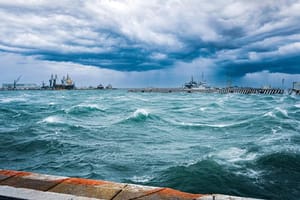 ¡TIRA DESDE POSTES HASTA ÁRBOLES! - PA’NORTAZO