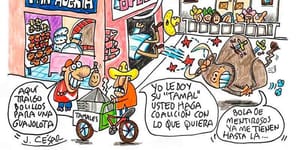 LOS CARTONES
