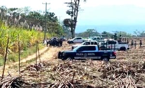¡ASESINAN A DOS ABUELITOS! - *Los dos hombres salieron de Coatepec para ir a comprar un automóvil, pasaron antes por un banco para retirar una importante suma de dinero