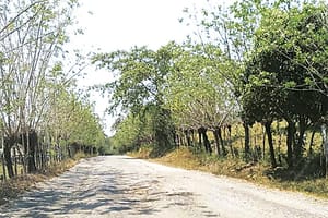 ¡LA SICT EN VERACRUZ OTORGÓ CONTRATO A EMPRESA FANTASMA QUE ABANDONÓ CONSTRUCCIÓN DE CARRETERA!