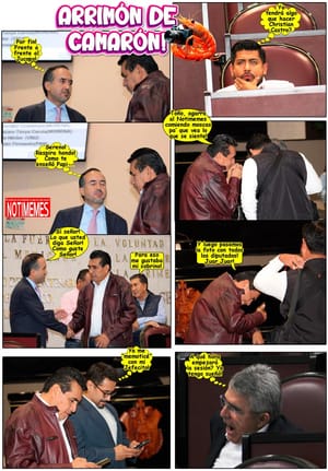 NOTI-MEME | - ARRIMÓN DE CAMARÓN!